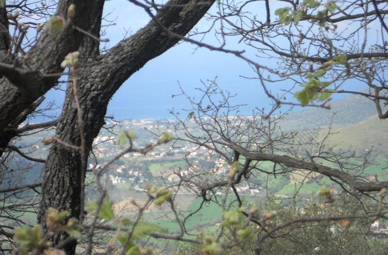 Casale Il Gheppio Guest House Laureana Cilento Bagian luar foto